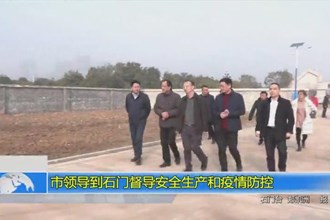 市领导到石门督导安全生产和疫情防控