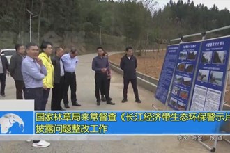 国家林草局来常督查《长江经济带生态环保警示片》披露问题整改工作
