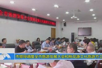 市领导调度全市旅游发展大会和桃花源文化旅游节工作