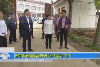 市领导到澧县调研乡村振兴工作