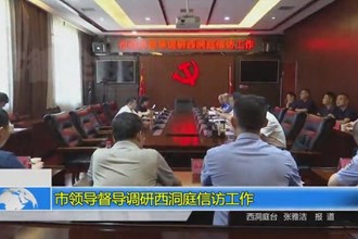 市领导督导调研西洞庭信访工作