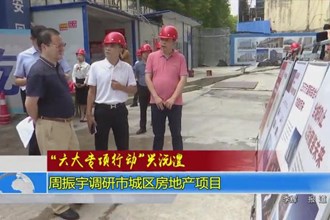 周振宇调研市城区房地产项目