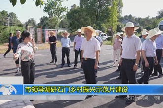 市领导调研石门乡村振兴示范片建设