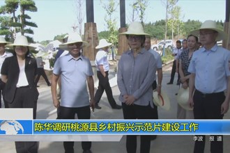 陈华调研桃源县乡村振兴示范片建设工作