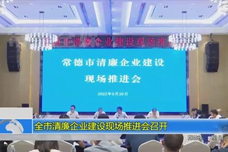全市清廉企业建设现场推进会召开