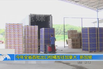 今年全省首批出口柑橘发往加拿大、新加坡
