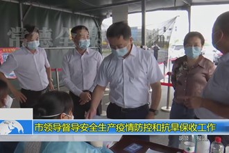 市领导督导安全生产疫情防控和抗旱保收工作