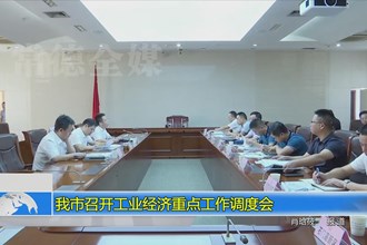 澳门金沙博彩娱乐平台召开工业经济重点工作调度会