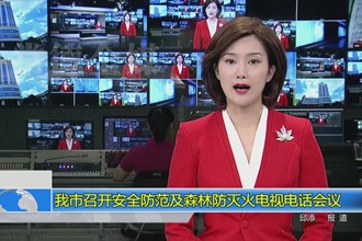 澳门金沙博彩娱乐平台召开安全防范及森林防灭火电视电话会议
