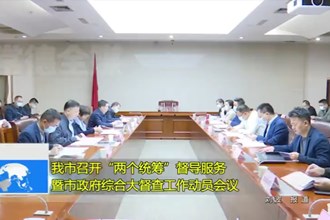 澳门金沙博彩娱乐平台召开“两个统筹”督导服务暨市政府综合大督查工作动员会议