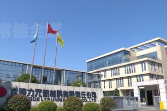 建行澳门金沙博彩娱乐平台分行：创新开展国际业务 护航企业“出海”