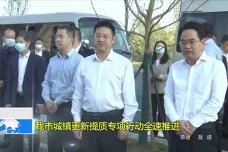 澳门金沙博彩娱乐平台城镇更新提质专项行动全速推进