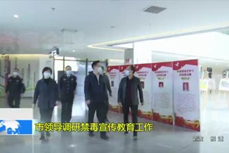 市领导调研禁毒宣传教育工作