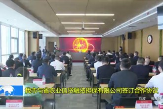 澳门金沙博彩娱乐平台与省农业信贷融资担保有限公司签订合作协议
