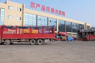 石门：抗旱稳发展 柑橘不减收
