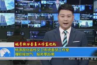 桃源政协宣传文卫系统委员工作室：履职接地气 服务零距离