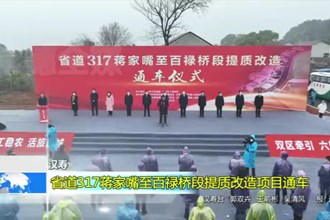 汉寿：省道317蒋家嘴至百禄桥段提质改造项目通车
