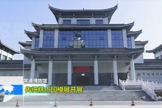 常德博物馆：传统糕点印模展开展