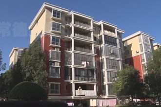 临澧：小区治理永在线 服务群众不打烊