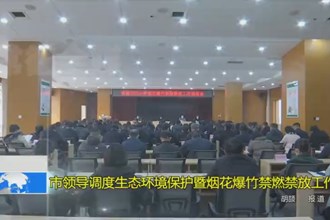 市领导调度生态环境保护暨烟花爆竹禁燃禁放工作