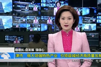 稳增长 促发展 强信心(1.13)