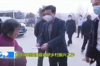 市领导到临澧县调研乡村振兴工作