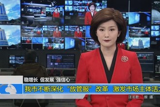 稳增长 促发展 强信心(1.15)