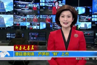 新春走基层(1.18)