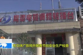 澳门金沙博彩娱乐平台文体广旅局开展春节前安全生产检查