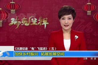 《沅澧征途 “兔”飞猛进》（五）：加快乡村振兴 拓展发展空间