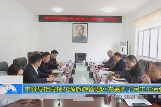市领导指导桃花源旅游管理区党委班子民主生活会