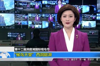 “候鸟天堂”西洞庭湖