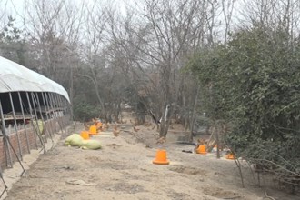 津市：“夫妻档”返乡创业 养鸡走上致富路