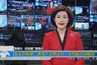安乡大鲸港：蔬菜产业势头好 乡村振兴动能足