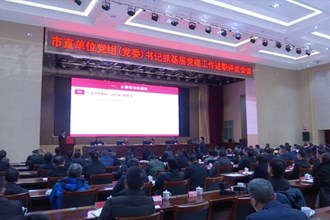 澳门金沙博彩娱乐平台委召开市直单位党组（党委）书记抓基层党建工作述职评议会议