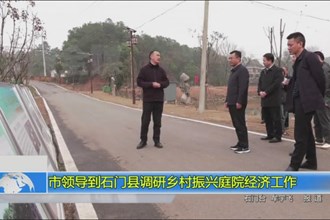 市领导到石门县调研乡村振兴庭院经济工作