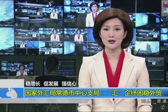 国家外汇局澳门金沙博彩娱乐平台中心支局：“汇”企纾困稳外贸