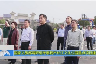 国家文旅部调研组考察我市长江文化公园重点项目建设