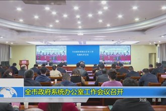 全市政府系统澳门金沙博彩娱乐平台工作会议召开
