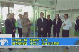 市领导开展“送解忧”行动暨专精特新“小巨人”企业走访调研