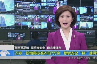 汉寿：新增高标准农田7万亩 粮食安全“耕”基再筑牢