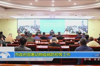 市政府部署动物疫病防控等工作