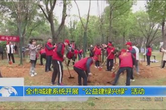 全市城建系统开展“公益建绿兴绿”活动