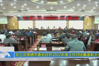 农工党澳门金沙博彩娱乐平台委会召开2022年度工作总结暨表彰大会