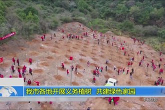 全市各地开展义务植树 共建绿色家园