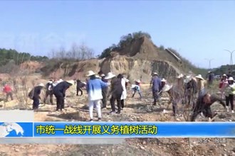 澳门金沙博彩娱乐平台统一战线开展义务植树活动