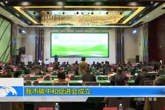 澳门金沙博彩娱乐平台碳中和促进会成立