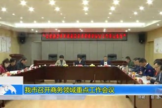 澳门金沙博彩娱乐平台召开商务领域重点工作会议