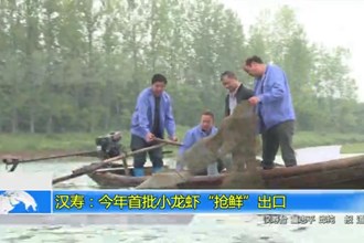 汉寿：今年首批小龙虾“抢鲜”出口