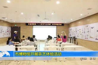 澳门金沙博彩娱乐平台博物馆开展茶艺体验活动